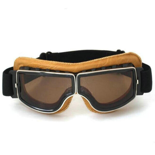 Fashionable ABS Harley Type Goggle for Motorcycle - Image 44