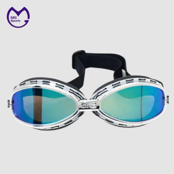 Fashionable ABS Harley Type Goggle for Motorcycle - Image 2